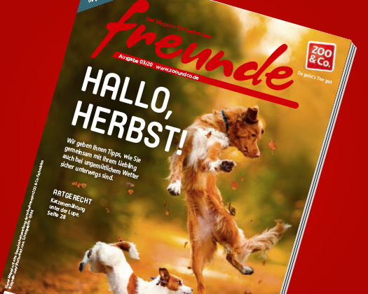 freunde-Magazin 03/2020